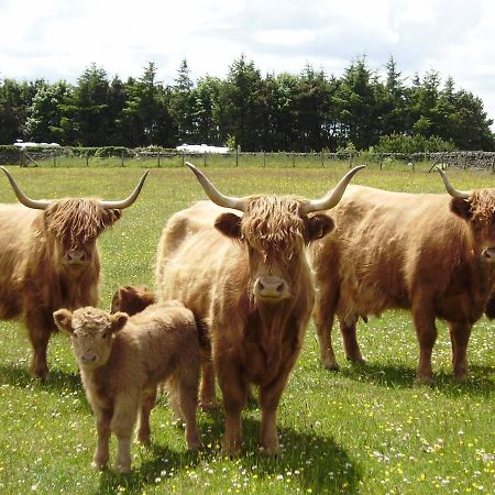Smugglers Rock Country House Ravenscar Luaran gambar