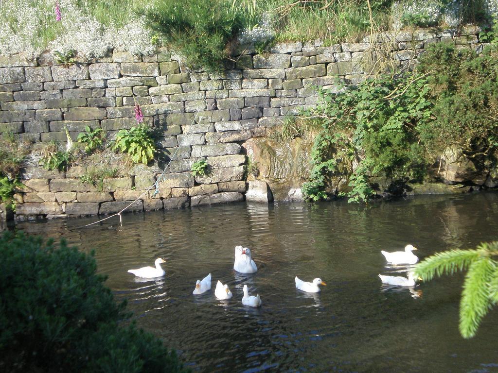 Smugglers Rock Country House Ravenscar Luaran gambar