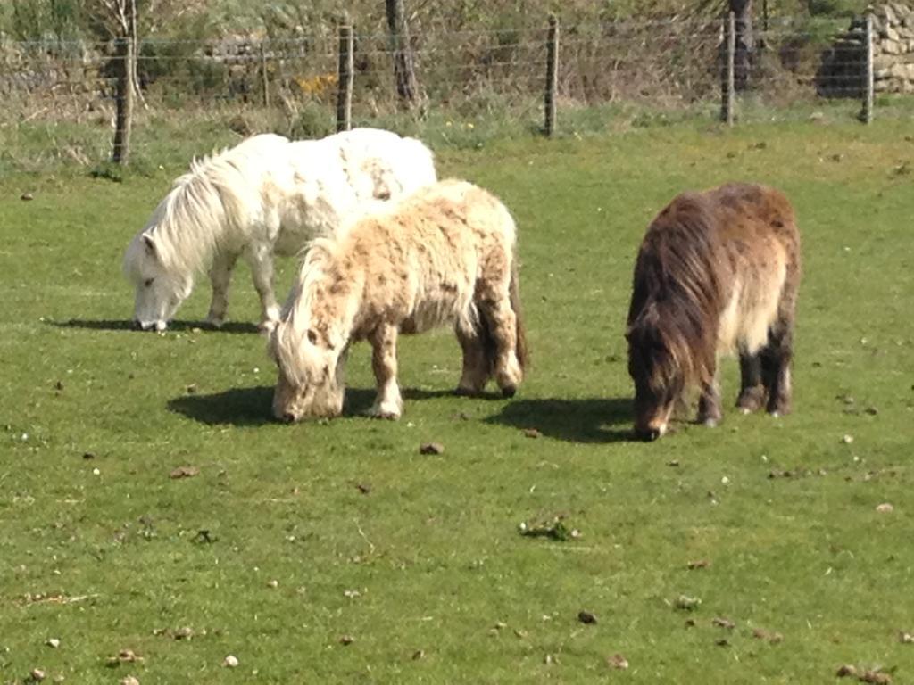 Smugglers Rock Country House Ravenscar Luaran gambar